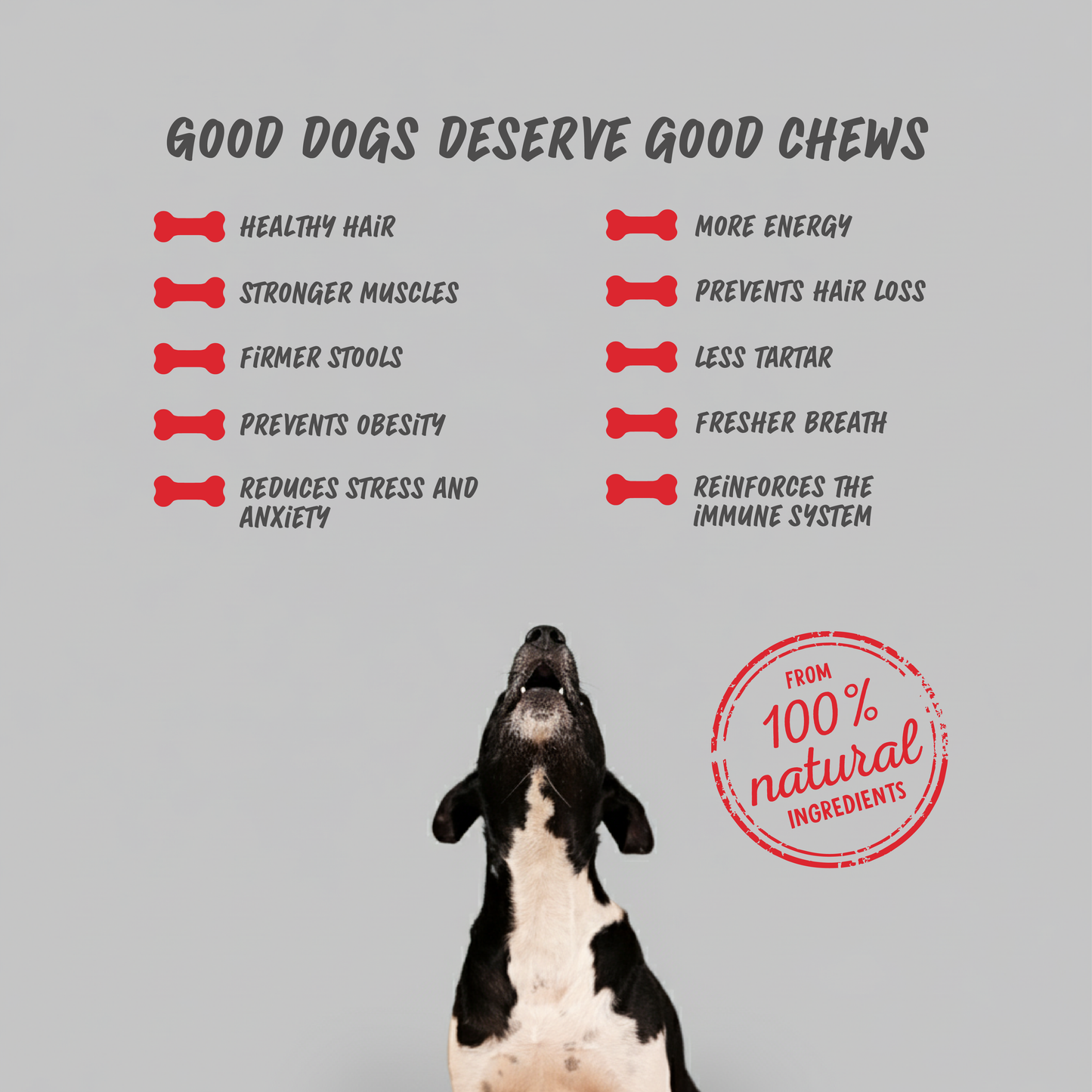 Dog treat Cheese & Beef chew (Box)