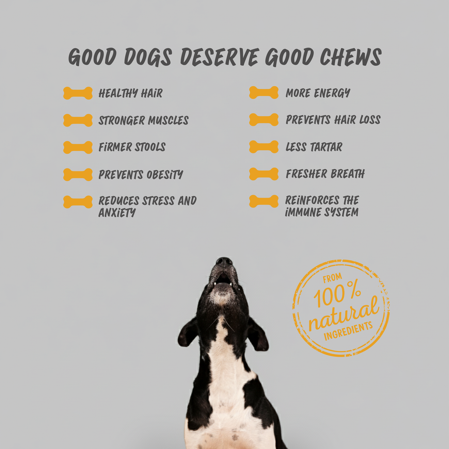 Dog Treats Cheese & Chicken chews( BOX )