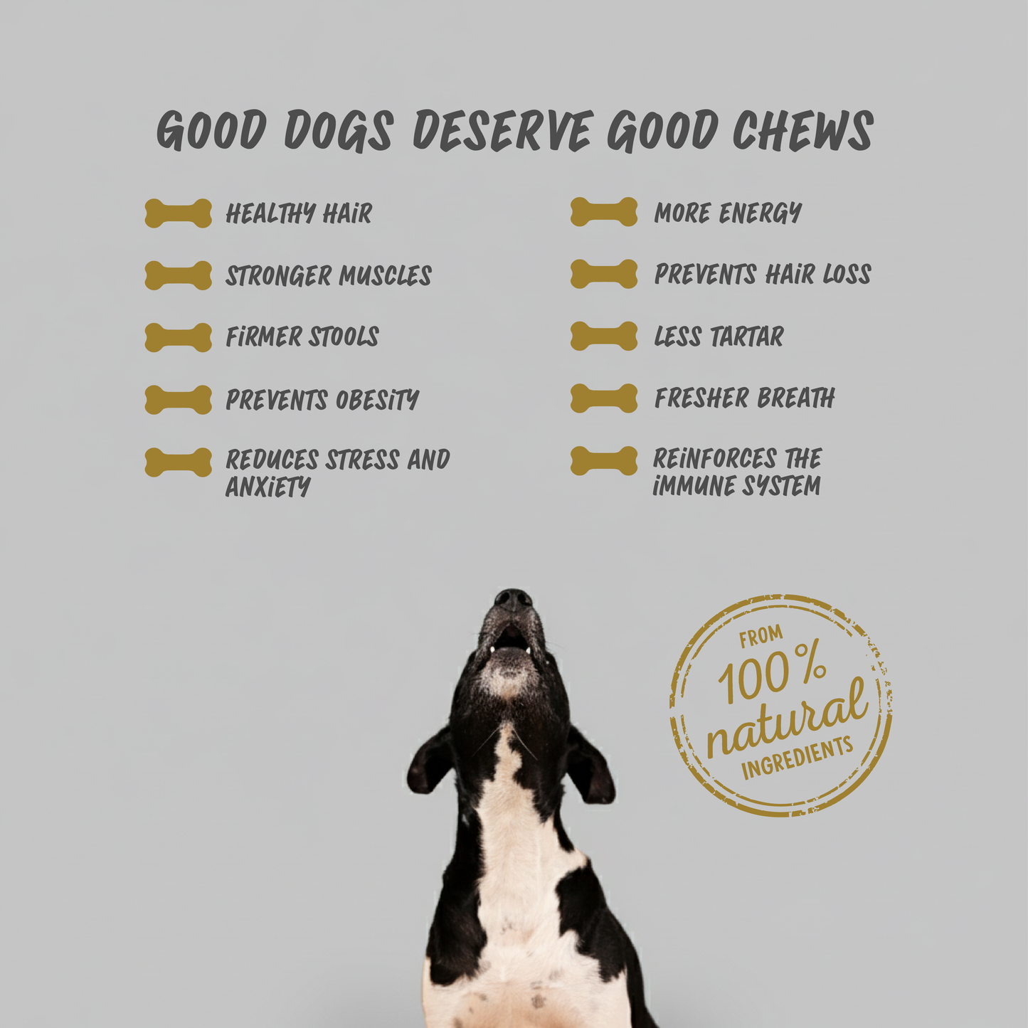 Dog Treats Cheese & Duck chew ( BOX )