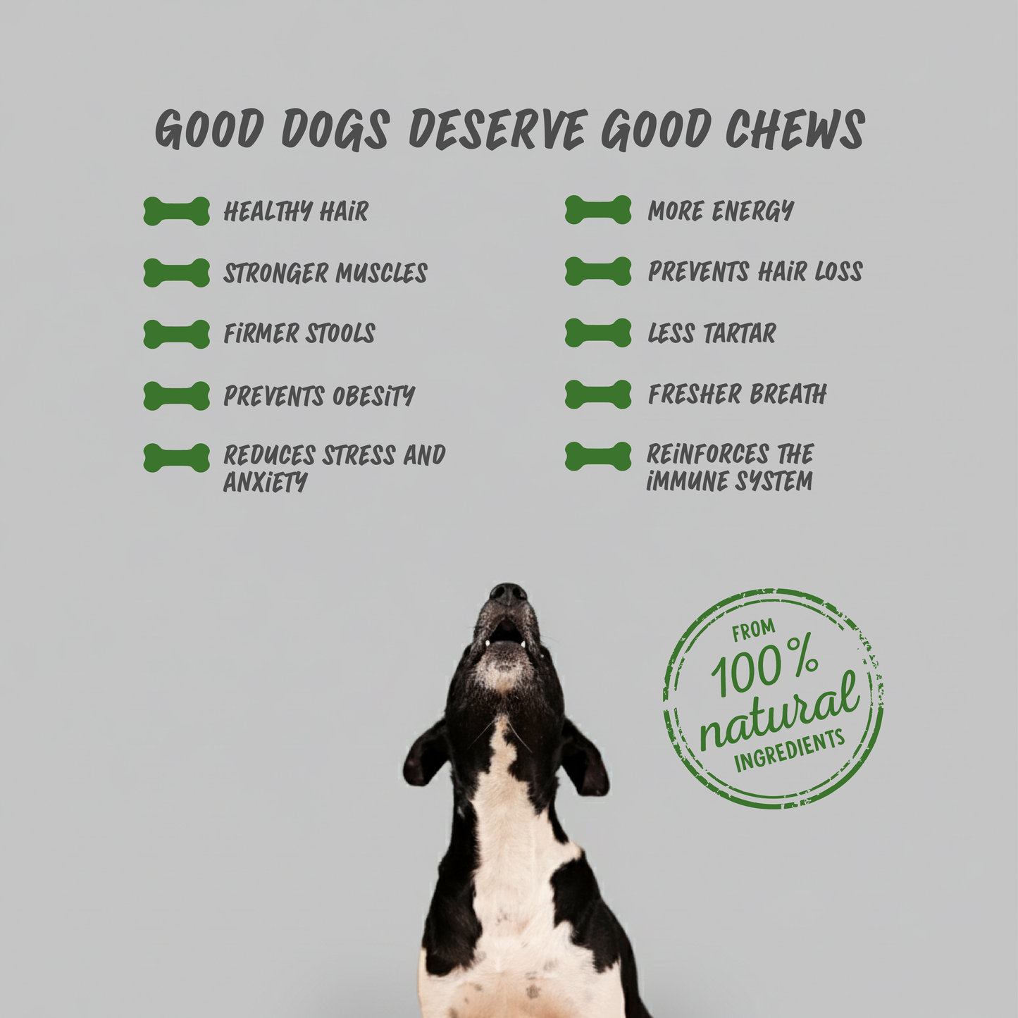 Dog Treats Cheese & Lamb chew (BOX)