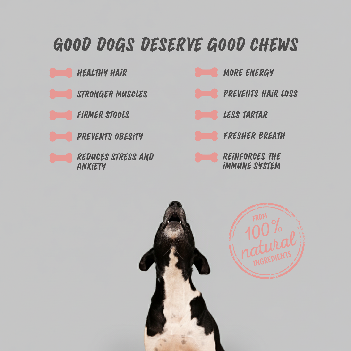 Dog treats Cheese & Ham/Bacon chew (BOX)