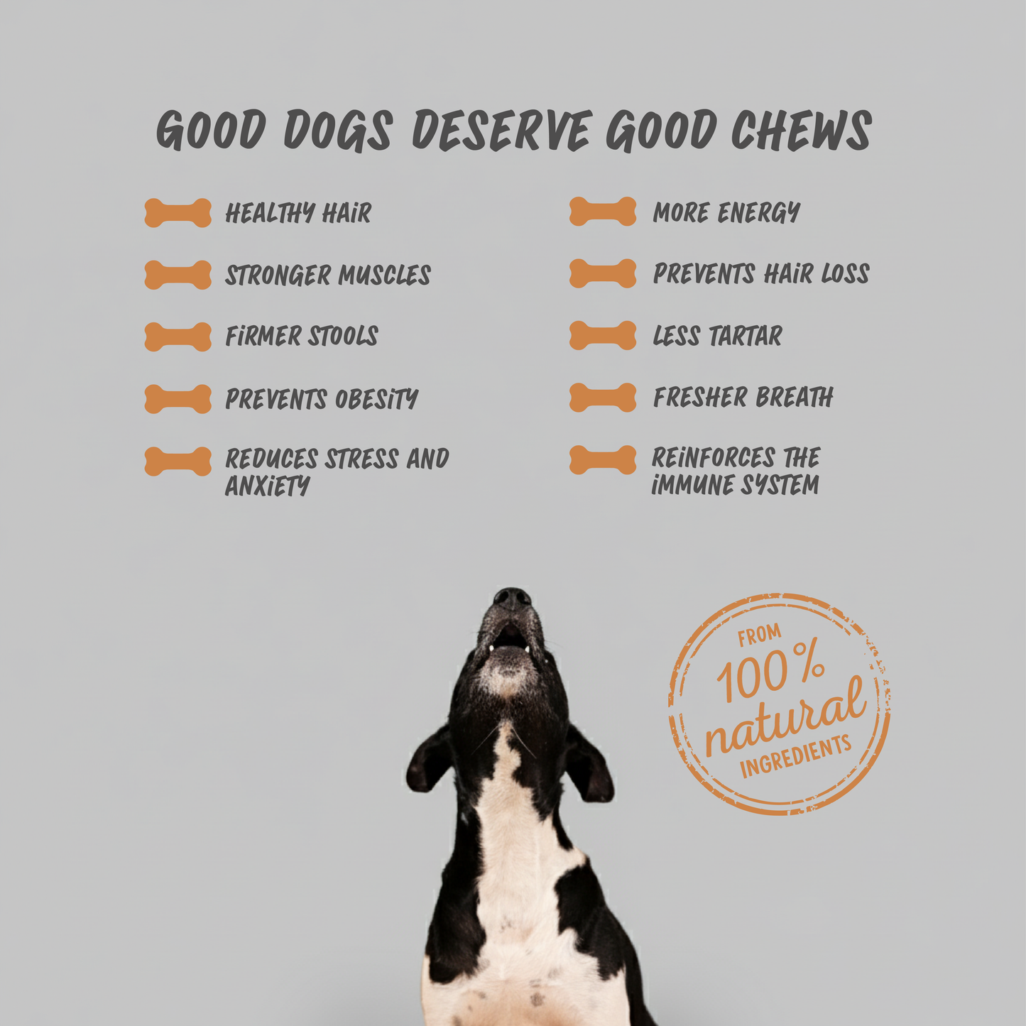 Dog Treats Cheese & Peanut Butter chew (BOX)
